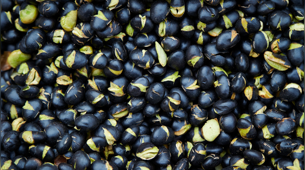 Black soybeans