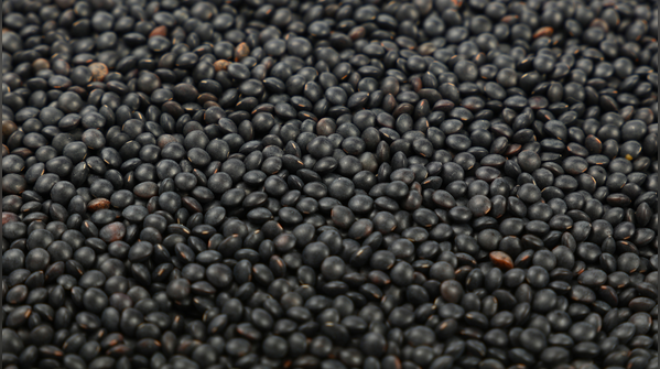 Black lentils