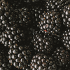 Article image for: Blackberries