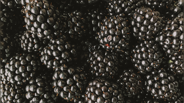Blackberries