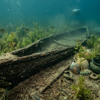 Article image for: In 2022, a scuba diver’s discovery of a carved log led to an ancient native American canoe