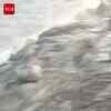 Article image for: Tourist Boat Capsizes In Bargi Dam, Several Feared Dead