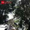 Article image for: Viral Land Art Video From Munnar Amazes Internet