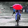 Article image for: Margao council gears up for monsoon season