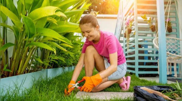 Maintain proper soil and lawn conditions