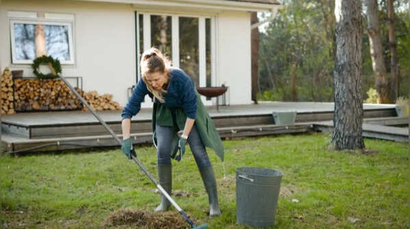 Keep your garden clean and tidy