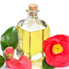 Article image for: Tsubaki Oil: The Hydrator Your Skin Actually Understands