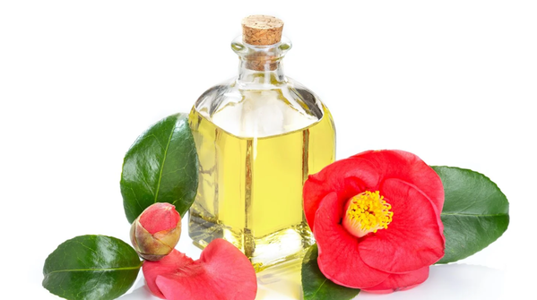 Tsubaki Oil: The Hydrator Your Skin Actually Understands