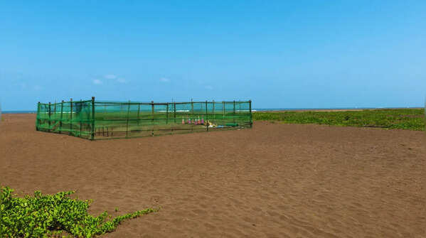 Velas Beach