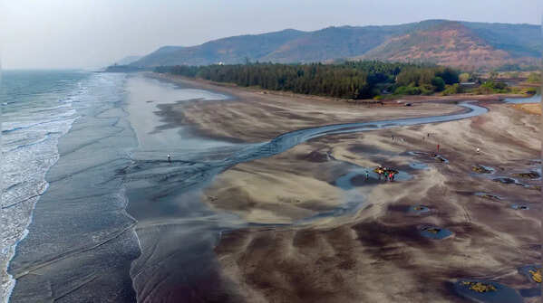 Dapoli