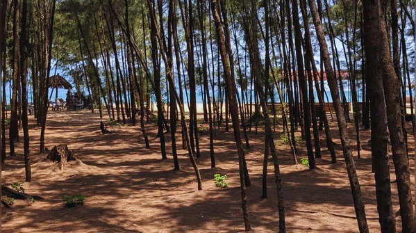 Devbagh Beach