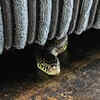 Article image for: Shoes, bags, and storage <i class="tbold">boxes</i>