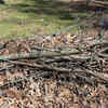 Woodpile, litter and overcrowded gardens