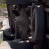 Article image for: Bus overturns after driver suffers chest pain in Himachal Pradesh's Kangra; 24 injured