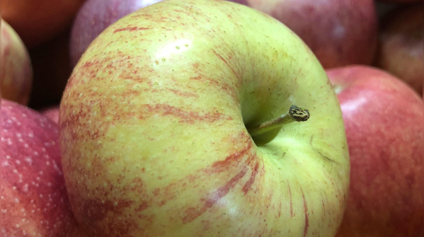 Red apples: gentle energy and heart-friendly compounds