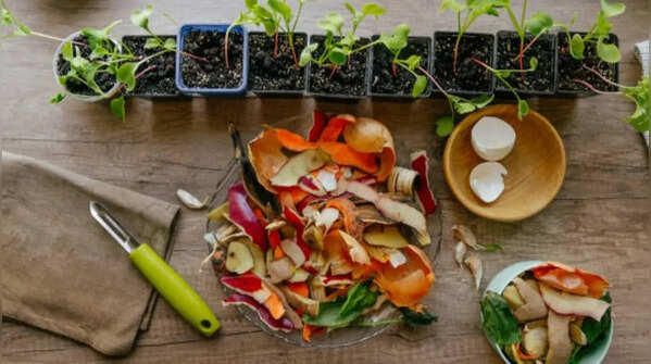 Vegetable peels for creating compost