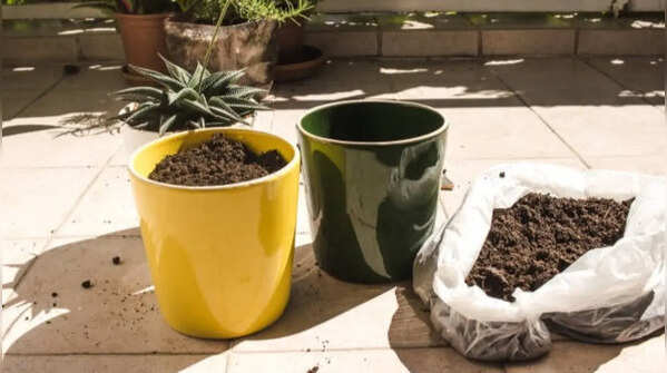 Coffee grounds for enhancing soil quality