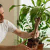 Article image for: You often move the plant from place to place