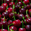 Article image for: <i class="tbold">6</i>. Tart cherries