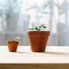 Differences in maintenance and durability of pots