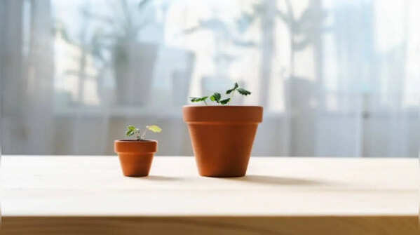 Differences in maintenance and durability of pots