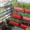 Plastic pots – light and durable