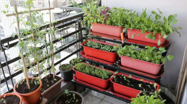 Plastic pots – light and durable