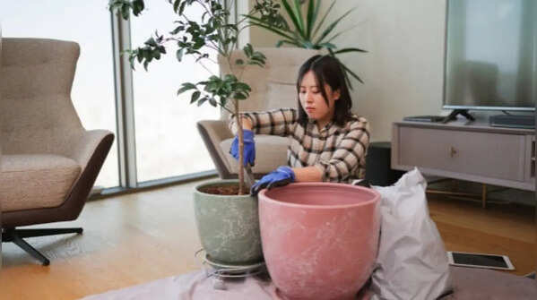 Cement pots - solid but heavy