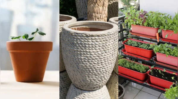 Best pots for plants: Terracotta vs Cement vs Plastic –which one wins?