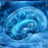 Article image for: Brain revived: Scientists froze brain tissue to −196°C and it started working again
