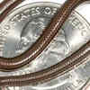 Barbados threadsnake