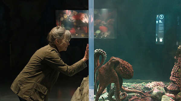 ‘Remarkably Bright Creatures'