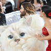 Article image for: <i class="tbold">Jared Leto</i>’s Furry Tribute (2023)