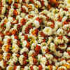 Article image for: Visit Mallick Ghat Flower Market