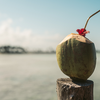 Article image for: Fresh vs packaged: Does it matter?
