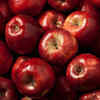 Nutritional value of apple