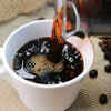 Coffee as fuel