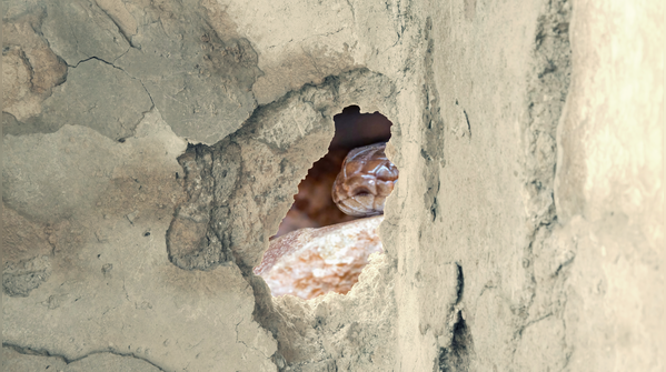 Inside holes of walls and cabinets