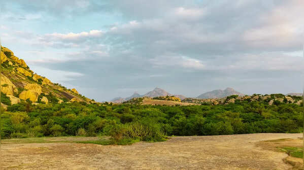 It acts as a natural barrier against the Thar Desert