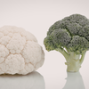 Article image for: Digestive health and gut response