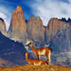 Article image for: Torres del Paine National Park (Chile)