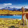 Article image for: 5 unique national parks in South America where waterfalls, wildlife and wilderness come alive
