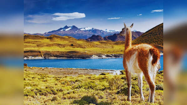 5 unique national parks in South America where waterfalls, wildlife and wilderness come alive