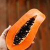 Papaya