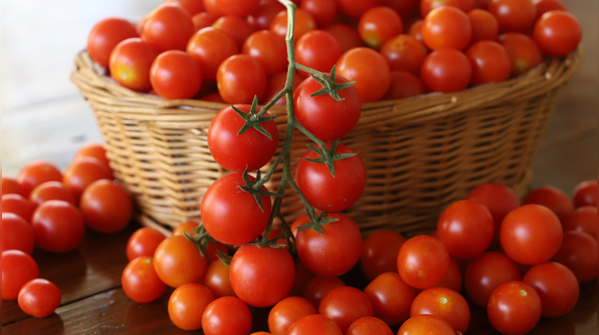 Tomato
