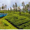 Article image for: Sri Lanka (1 INR = 3.5–3.8 Sri Lankan Rupee (approx.)