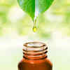 Kumkumadi oil: The traditional glow secret