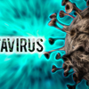 What exactly is hantavirus?
