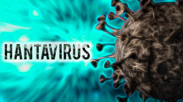 What exactly is hantavirus?