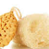 Loofahs and Bath Sponges